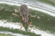 Thumbnail 385057 B