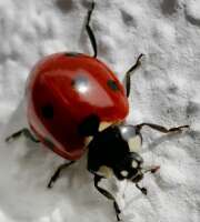 Thumbnail 385707 B