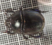 Thumbnail 385881 A