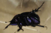 Thumbnail 385881 B