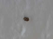 Thumbnail 386726 A