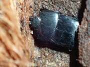 Thumbnail 386773 B
