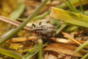 Thumbnail 386926 B