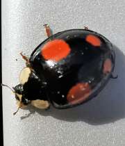 Thumbnail 387553 B