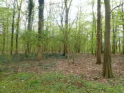 Thumbnail 387581 B