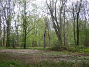 Thumbnail 387585 B