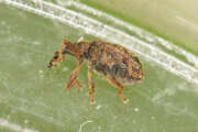 Thumbnail 387749 B