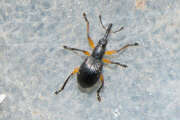 Thumbnail 387771 B