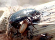 Thumbnail 387845 B