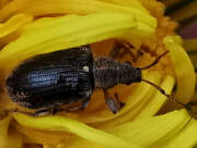 Thumbnail 388057 B