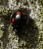 Thumbnail 388079 B