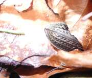 Thumbnail 388097 B