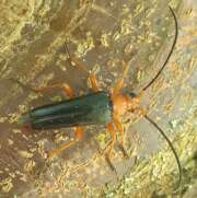 Thumbnail 388712 B