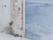 Thumbnail 389070 B