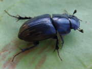 Thumbnail 389287 B