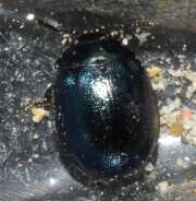 Thumbnail 389316 B