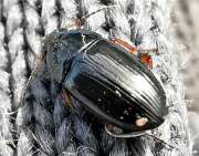 Thumbnail 389701 B