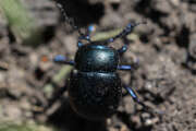 Thumbnail 390173 B