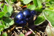 Thumbnail 390192 B