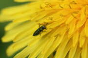 Thumbnail 390604 B