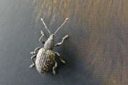 Thumbnail 390669 B