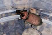 Thumbnail 391023 B