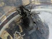 Thumbnail 391028 B
