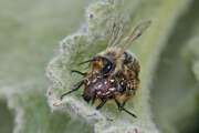 Thumbnail 391140 B