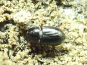 Thumbnail 391179 B