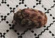 Thumbnail 391220 B