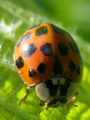 Thumbnail 391269 B