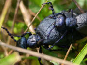 Thumbnail 391277 B