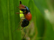 Thumbnail 391297 B