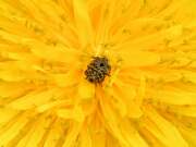 Thumbnail 391403 A