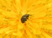Thumbnail 391403 B