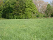 Thumbnail 391434 B