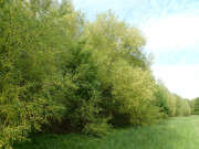 Thumbnail 391438 B
