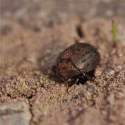 Thumbnail 391447 B