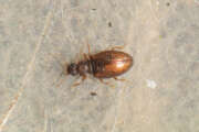 Thumbnail 391685 B