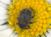 Thumbnail 392044 B