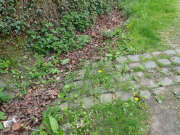 Thumbnail 392829 B