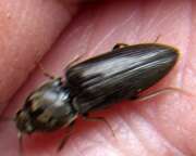 Thumbnail 393047 B