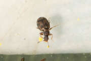 Thumbnail 393148 B