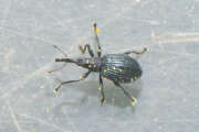 Thumbnail 393149 B