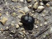 Thumbnail 393382 B