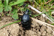 Thumbnail 393436 B