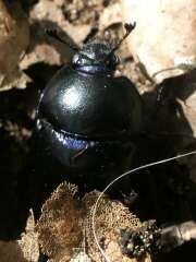 Thumbnail 394302 B