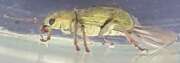 Thumbnail 395021 B