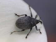 Thumbnail 395027 B