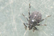 Thumbnail 395152 B